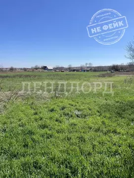 Участок в Ростовская область, Родионово-Несветайский район, ...