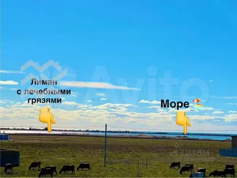 Участок в Крым, Сакский район, с. Молочное пер. Молочный (10.0 сот.)