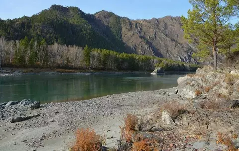 Участок в Алтай, Чемальский район, с. Уожан  (95.0 сот.)