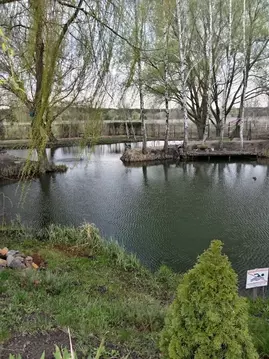 Дом в Белгородская область, Белгородский муниципальный округ, Разумное ...