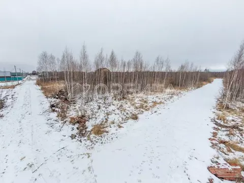 Участок в Тюменская область, Нижнетавдинский муниципальный округ, ...