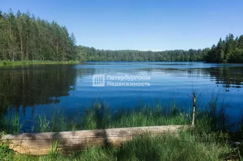 Участок в Ленинградская область, Лужский район, Осьминское с/пос, д. ...