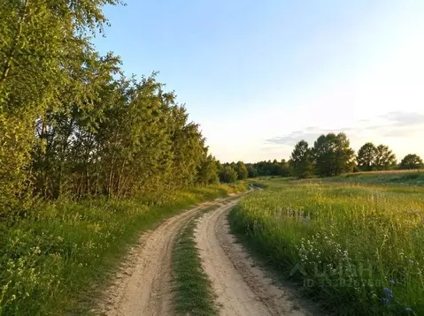 Участок в Челябинская область, Сосновский муниципальный округ, с. ...