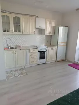 Студия Ленинградская область, Всеволожский район, пос. Бугры ул. ...