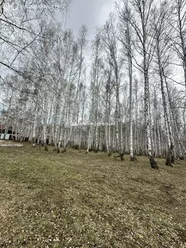 Участок в Абзелиловский район, Ташбулатовский сельсовет, деревня ...