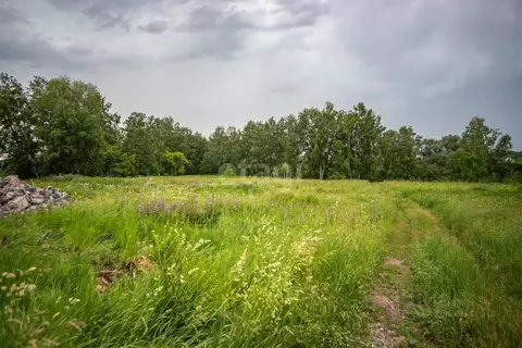 Участок в Новосибирская область, Искитимский район, пос. ...