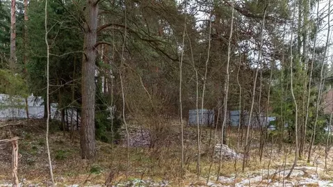 Участок в Московская область, Одинцовский городской округ, с. ...