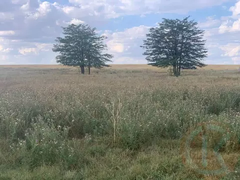 Участок в Крым, Симферопольский район, Первомайское с/пос, с. Красное ...