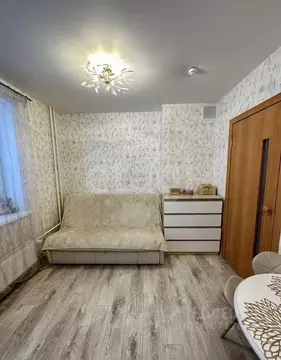 Студия Пермский край, Пермский муниципальный округ, с. Фролы ул. ...
