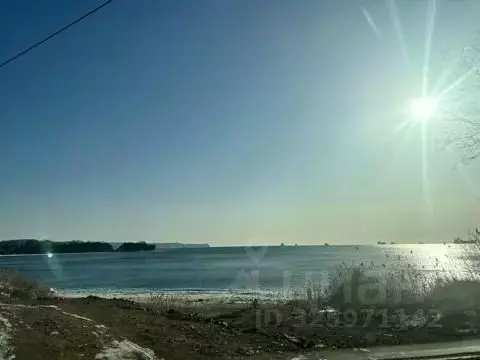 Участок в Приморский край, Партизанский муниципальный округ  (5.0 ...