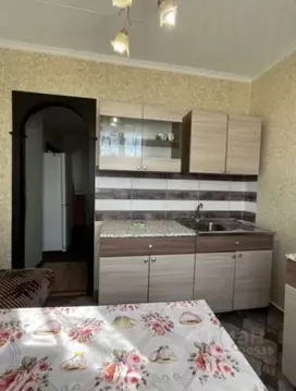 1-к кв. Ленинградская область, Тосненское городское поселение, д. ...