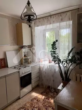 1-к кв. Нижегородская область, Саров ул. Карла Маркса, 4 (30.1 м)