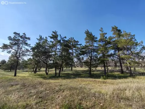 Участок в Царицын, садоводческое некоммерческое товарищество ...