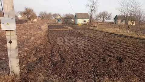 Участок в Брянская область, Брянский район, Мичуринское с/пос, ...