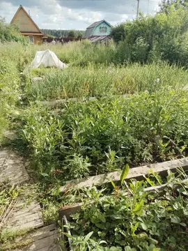 Дом в Свердловская область, Ревда Труженик СОТ,  (20 м)