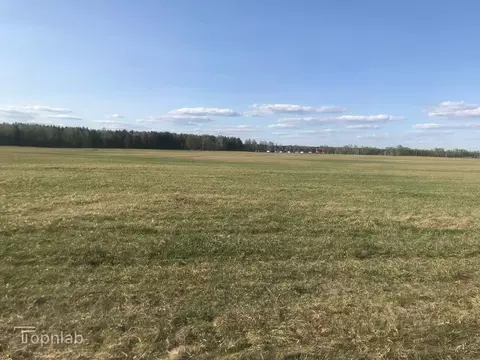 Участок в Алтайский край, Первомайский район, с. Фирсово, Рощино мкр ...