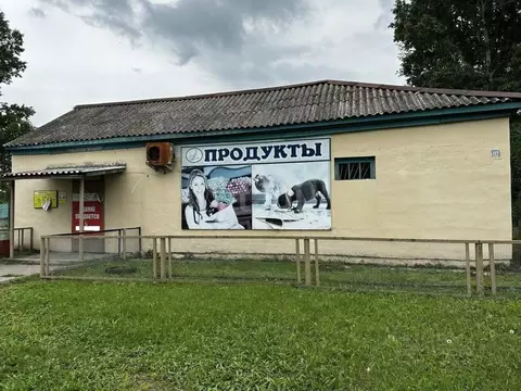 Торговая площадь в Амурская область, Ивановский муниципальный округ, ...