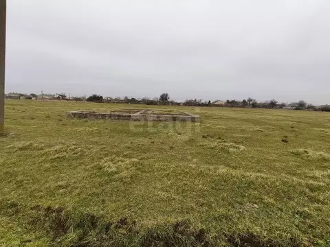 Участок в Крым, Ленинский район, с. Ильичево ул. Виноградная (20.0 ...