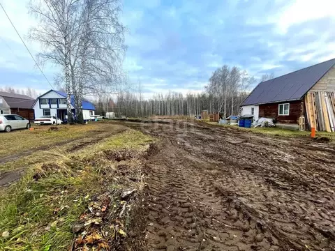 Участок в Новосибирская область, Мошково рп  (8.0 сот.)