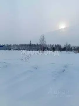 Участок в Новосибирская область, Новосибирский район, Станционный ...