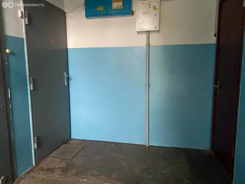 3-комнатная квартира: Краснодар, улица Димитрова, 127 (59.1 м)