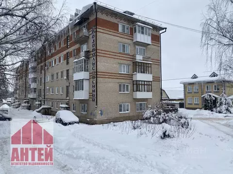 2-к кв. Нижегородская область, Павлово Огородный пер., 28А (39.0 м)