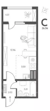 Студия Липецкая область, Липецк ул. Перова, 1 (26.56 м)