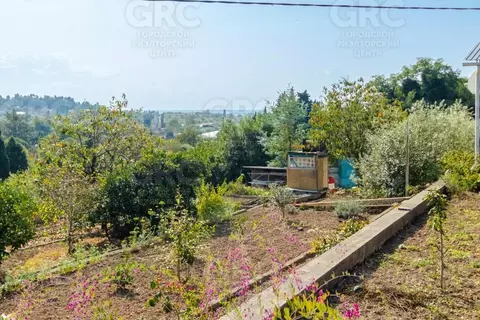 Участок в Краснодарский край, Сочи Головинка мкр, ул. Центральная, 66А ...