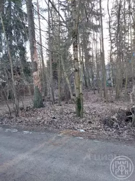 Участок в Ленинградская область, Всеволожск Сергиевская ул. (6.0 сот.)