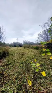 Участок в Приморский край, Уссурийск Рефрижераторщик СТ,  (6.64 сот.)