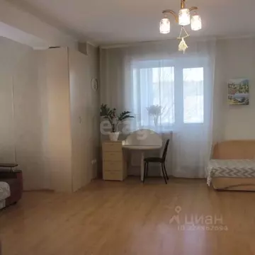 Студия Новосибирская область, Бердск Лунная ул., 28 (47.0 м)