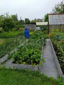 Дом в Свердловская область, Нижний Тагил Черемушки СНТ,  (34 м)