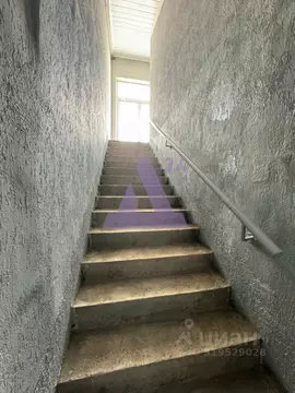 Помещение свободного назначения в Алтайский край, Барнаул Северный ...