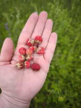 Участок в Липецкая область, Липецкий муниципальный округ, с. Большая ...