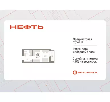 Студия Ханты-Мансийский АО, Сургут 1-й мкр, Нефть жилой комплекс (22.7 ...