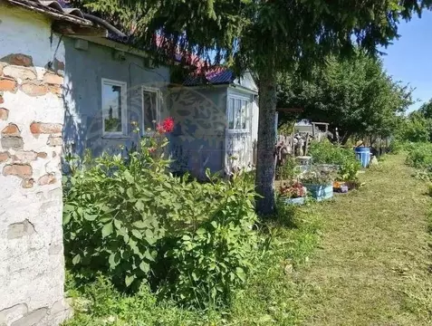 Дом в Воронежская область, Новоольшанское с/пос, пос. Нижнедевицк ул. ...