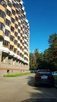 Квартира-студия: Санкт-Петербург, Пискарёвский проспект, 25к2 (23 м)