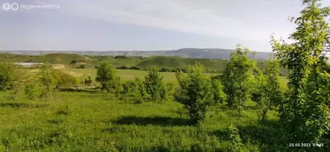 Участок в Аликоновка, Светлая улица (6 м)