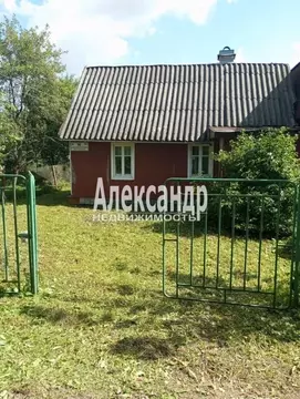 Участок в Ленинградская область, Лужский район, Скребловское с/пос, д. ...