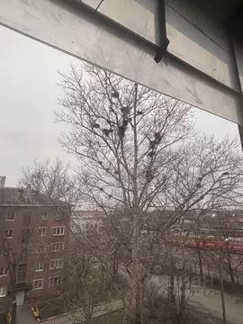 1-к кв. Тульская область, Тула Красноармейский просп., 52 (31.0 м)