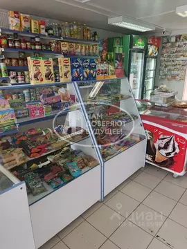 Торговая площадь в Пермский край, Чернушинский муниципальный округ, д. ...