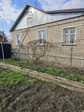 Дом в Воронежская область, с. Репьевка ул. Спортивная (61 м)