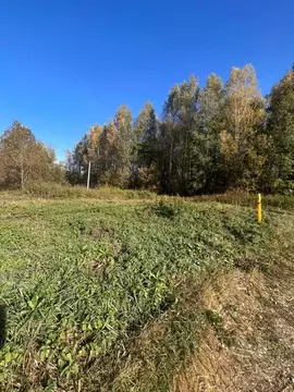 Участок в Владимирская область, Киржачский муниципальный округ, ...