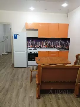 Студия Новосибирская область, Новосибирск Выборная ул., 154/2 (30.0 м)