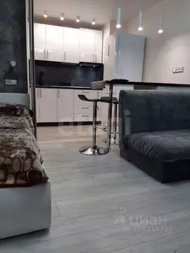 Студия Санкт-Петербург Заневский просп., 42 (27.9 м)