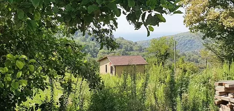 Участок в Краснодарский край, Сочи городской округ, с. Вардане-Верино  ...