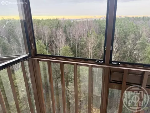 Квартира-студия: Ломоносов, Михайловская улица, 51 (20 м)