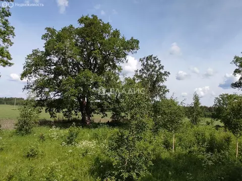 Участок в Плодовское сельское поселение, ДНТ Комсомольское (20 м)