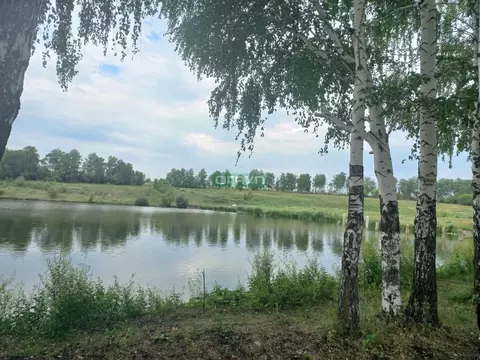 Участок в Пензенская область, с. Бессоновка ул. Озерная (6.0 сот.)