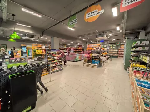 Помещение свободного назначения в Омская область, Омск пос. Амурский, ...